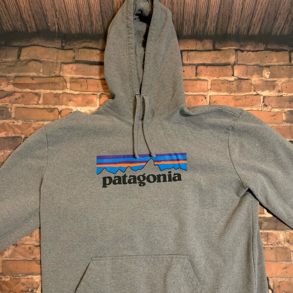 Men’s Patagonia Hoodie